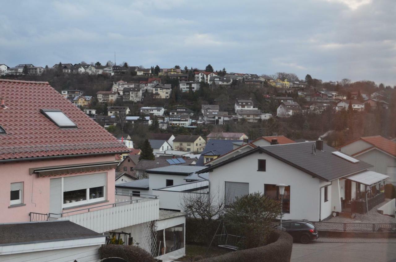 Balog Ferienwohnung Sinsheim Exterior foto